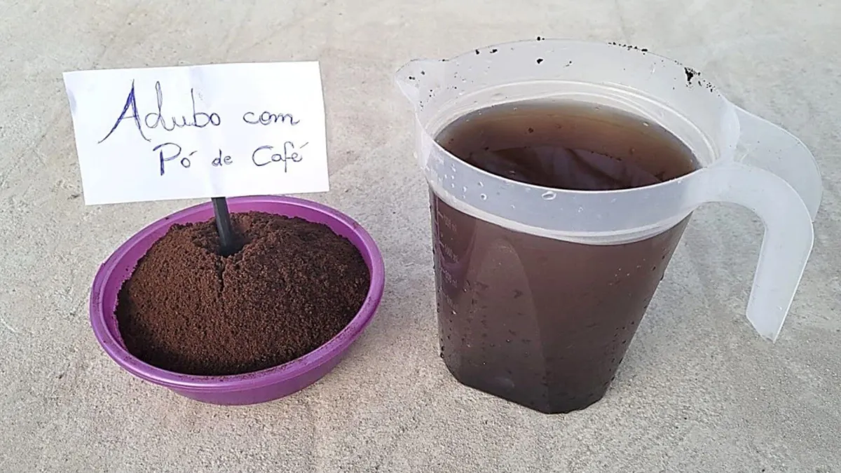 Adubo com pó de café potente: faz qualquer planta crescer e