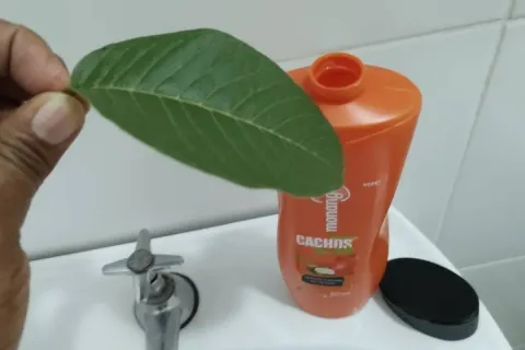 Aprenda a fazer um shampoo caseiro ótimo para seus cabelos e