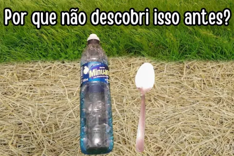 Aprendi a fazer um mata mato caseiro simples e barato que fu