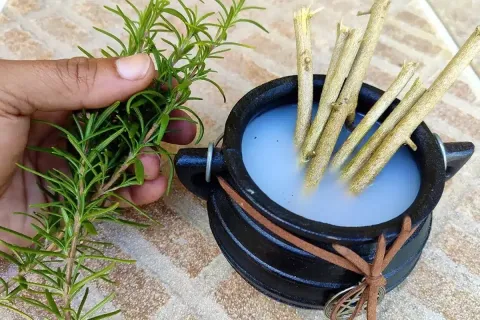 Aromatizador de ambiente caseiro: muito mais barato do que g