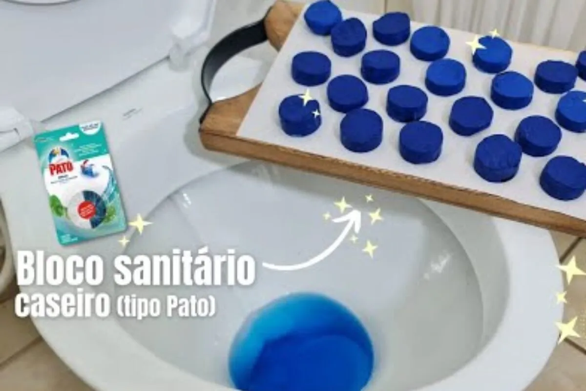 Bloco sanitário caseiro: como deixar seu banheiro cheiroso a