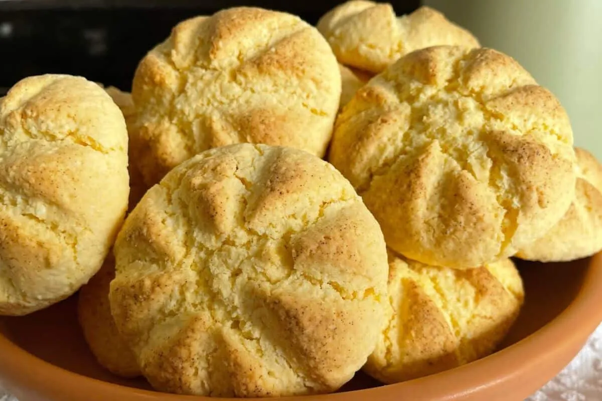 Bolachinha de coco sem glúten e sem lactose que fica irresis