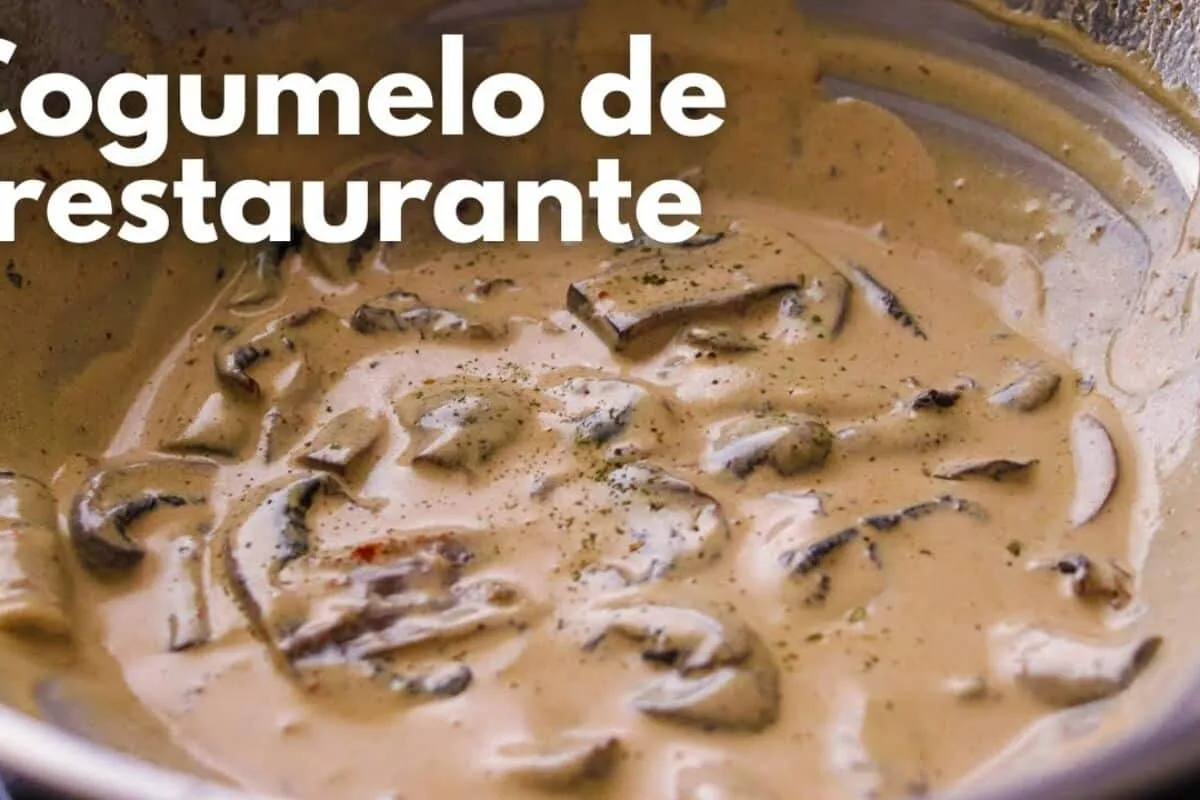 Cogumelo cremoso com sabor de restaurante: uma receita simpl