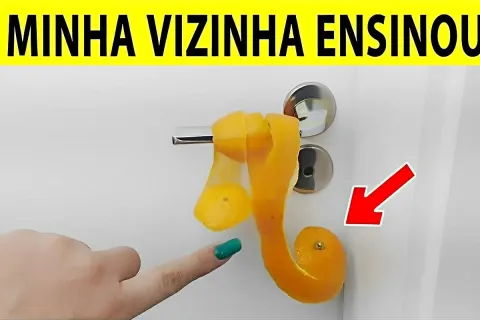 Coloquei casca de laranja atrás da porta e o resultado me su