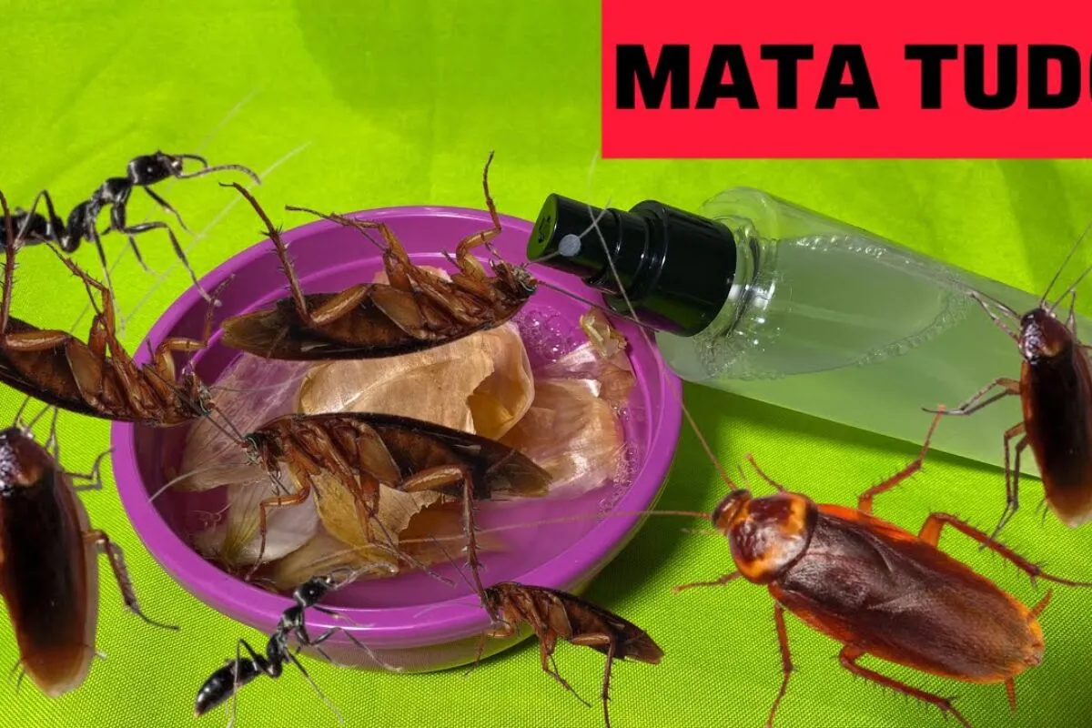 Como acabar com os insetos usando uma dica infalível contra