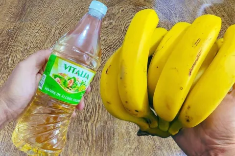 Como conservar banana madura no verão: evite que o calor est