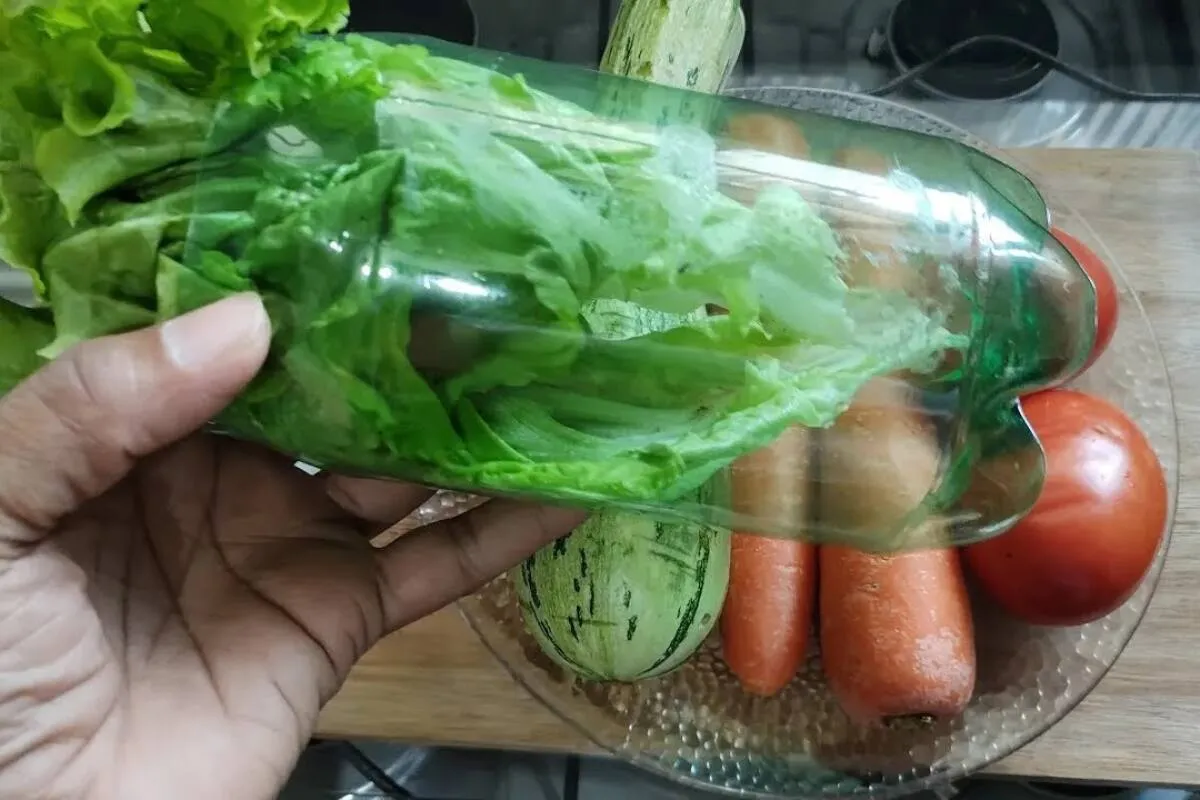 Como conservar folhas na geladeira: técnica infalível que ma