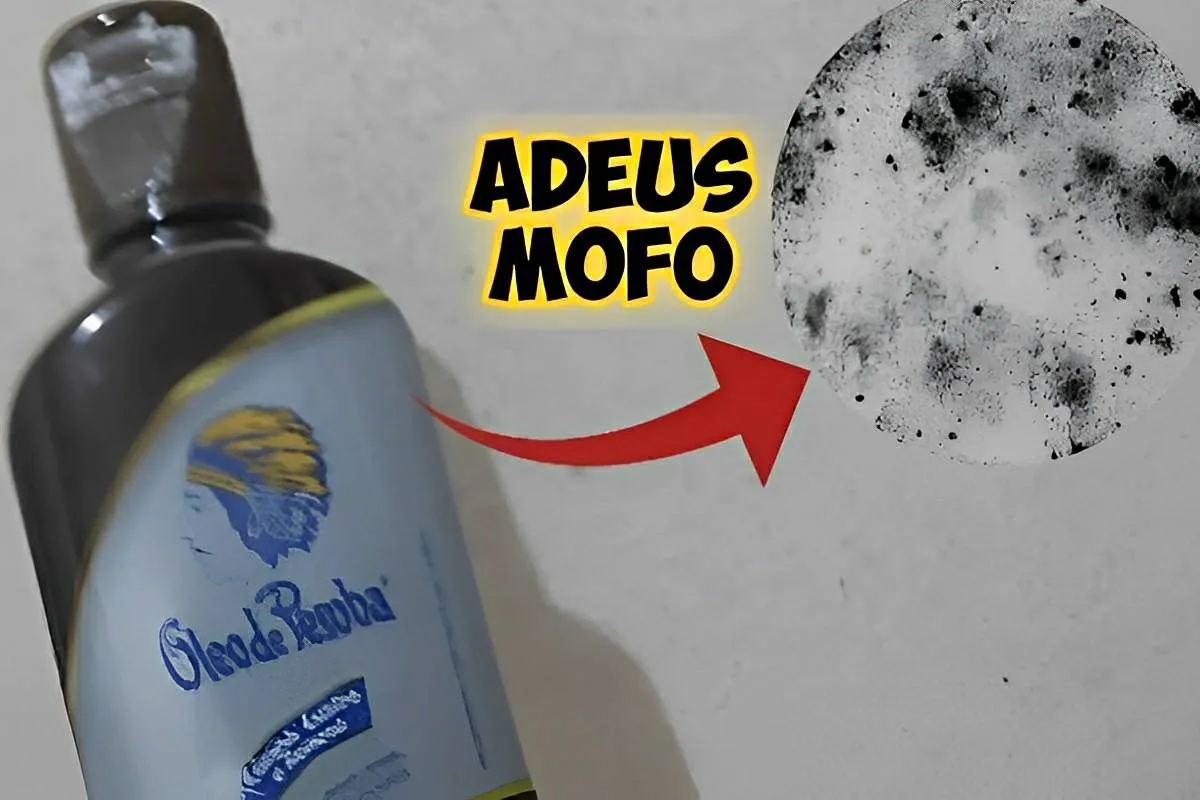 Como eliminar mofo das paredes com essa misturinha caseira d