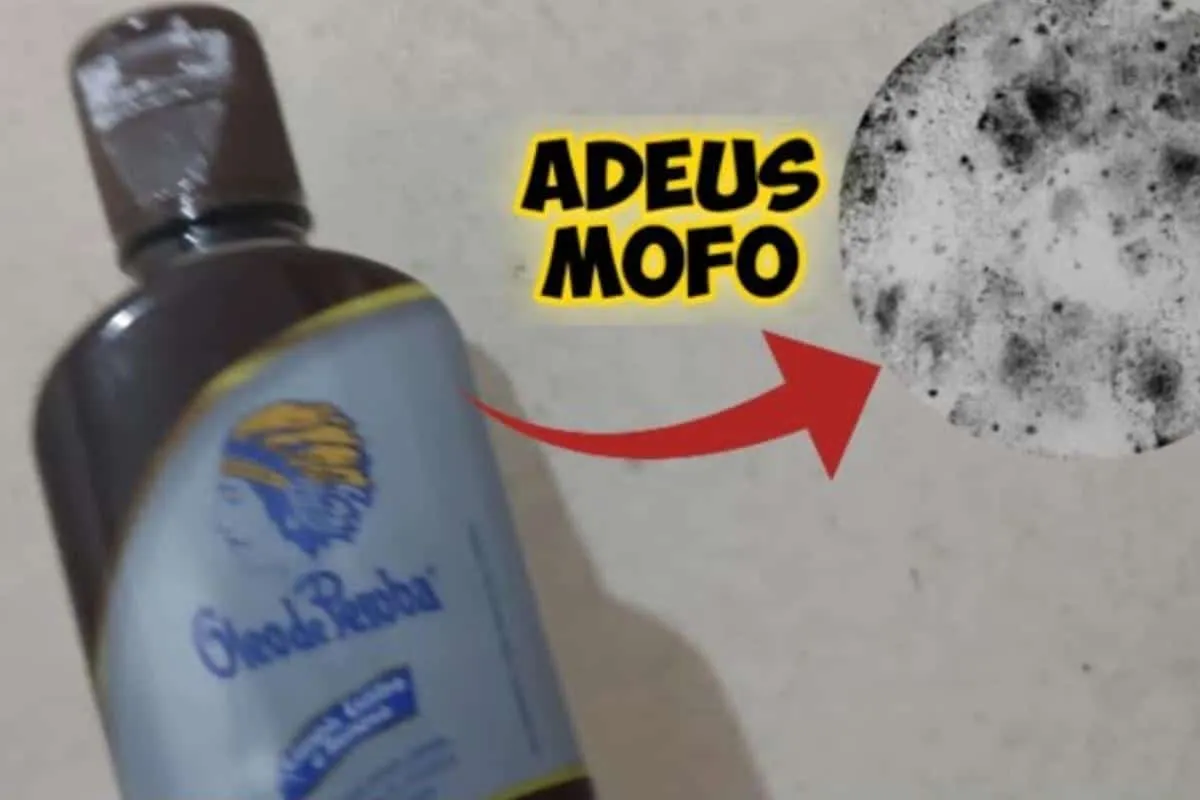 Como eliminar mofo das paredes: misturinha para deixar sua c
