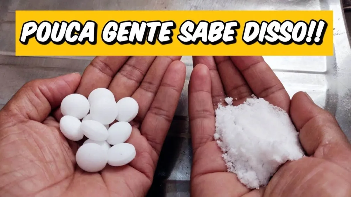 Como eliminar ratos e baratas sem precisar colocar venenos n