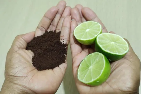 Como evitar mau cheiro na geladeira: misturinha que elimina 