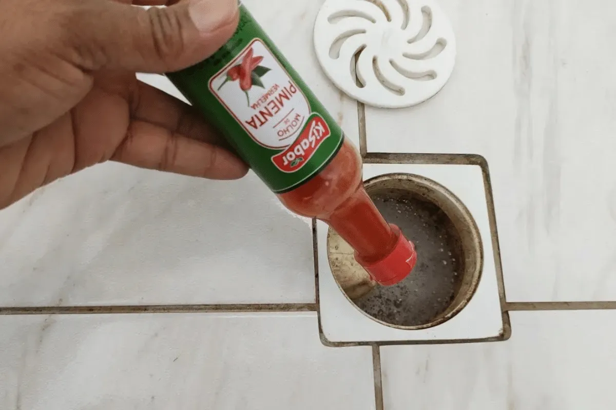 Como evitar mau cheiro no banheiro: dica para deixar sua cas