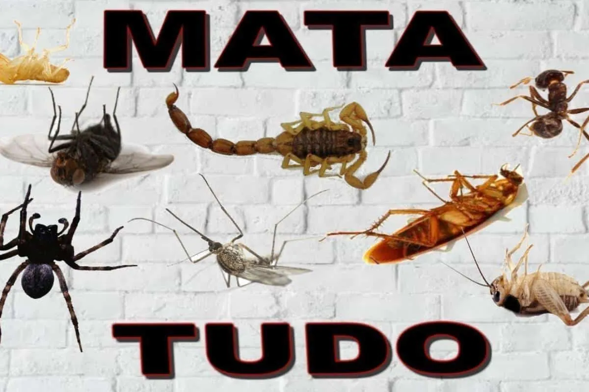Como fazer inseticida caseiro e livrar sua casa dos insetos