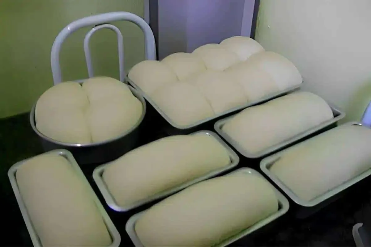Como fazer pão caseiro que cresce bastante: aprenda todos os
