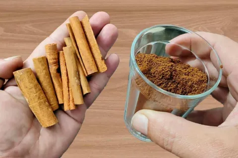 Como fazer planta crescer e florir: não precisa comprar prod