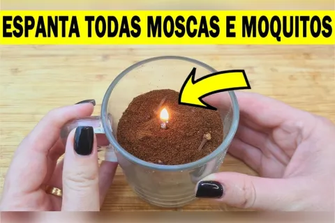 Como fazer um repelente de mosquitos caseiro que vai deixar 