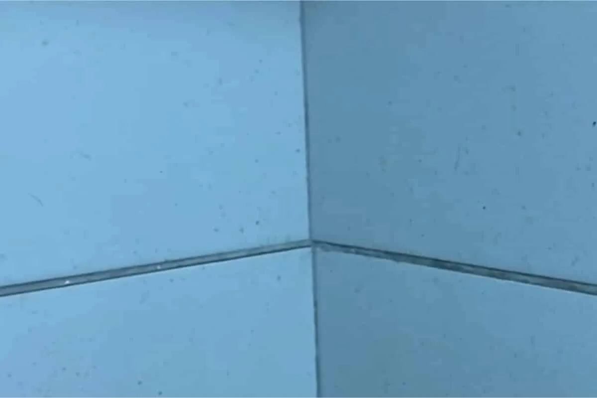 Como limpar azulejo engordurado da cozinha: dica super simpl