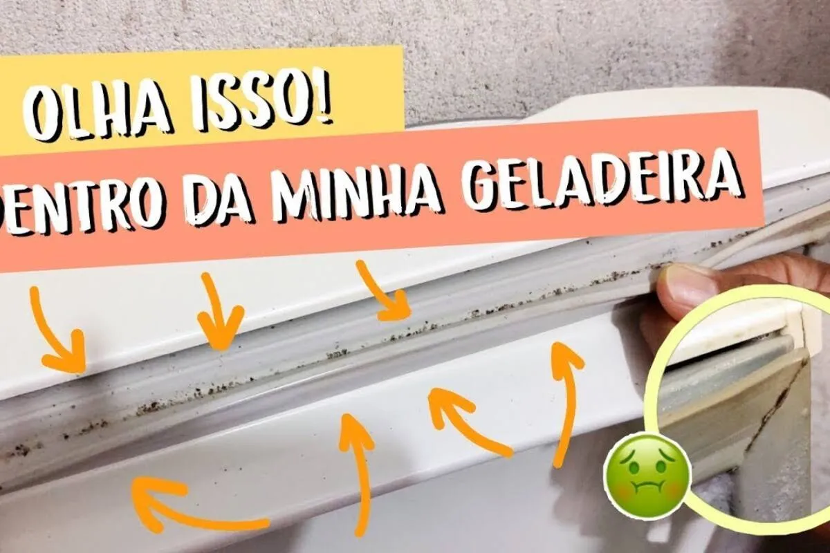Como limpar borracha da geladeira e retirar o mofo e sujeira