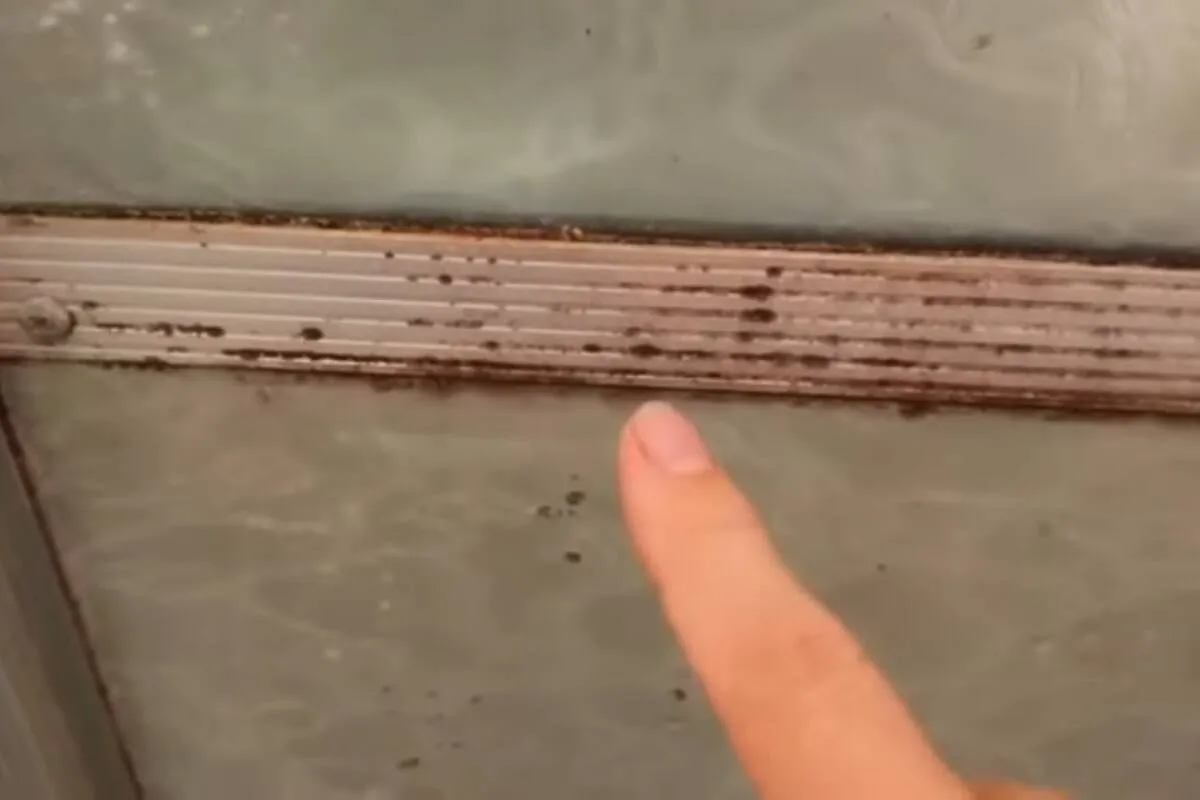 Como limpar box encardido com um tira limo caseiro que funci