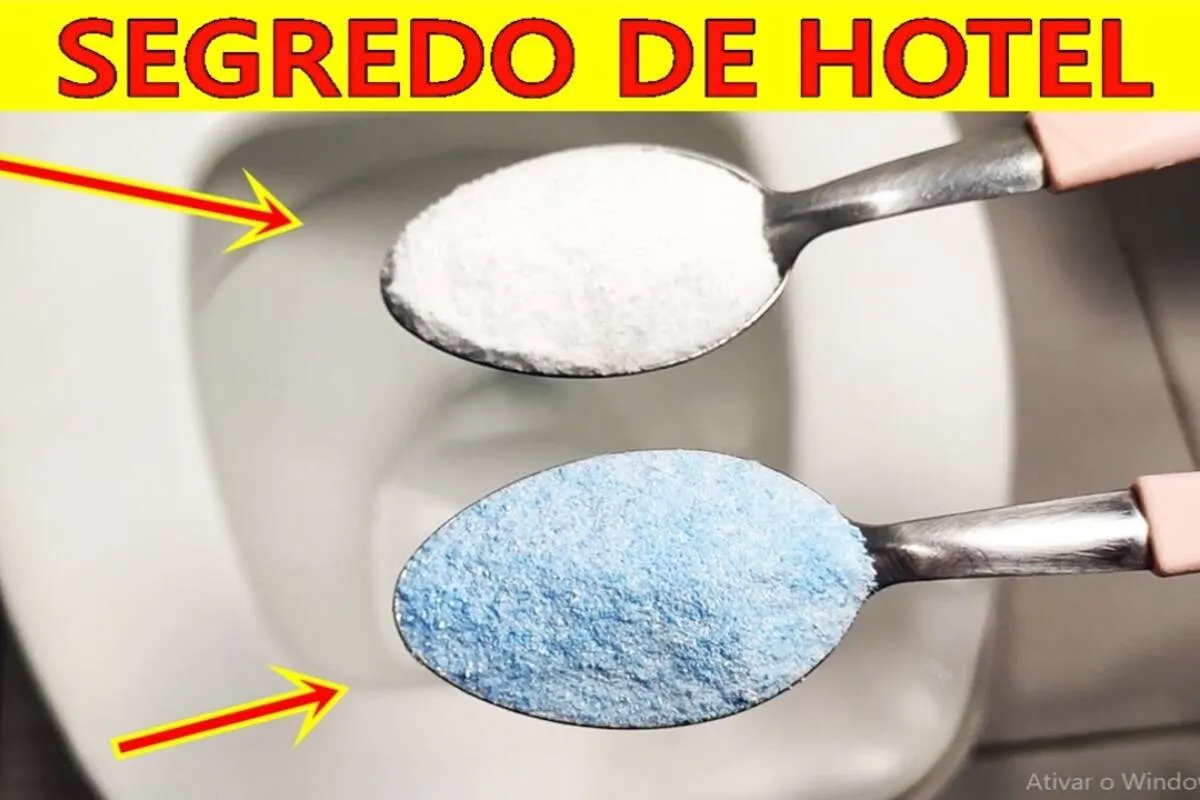 Como limpar vaso sanitário: fica branquinho e o banheiro che