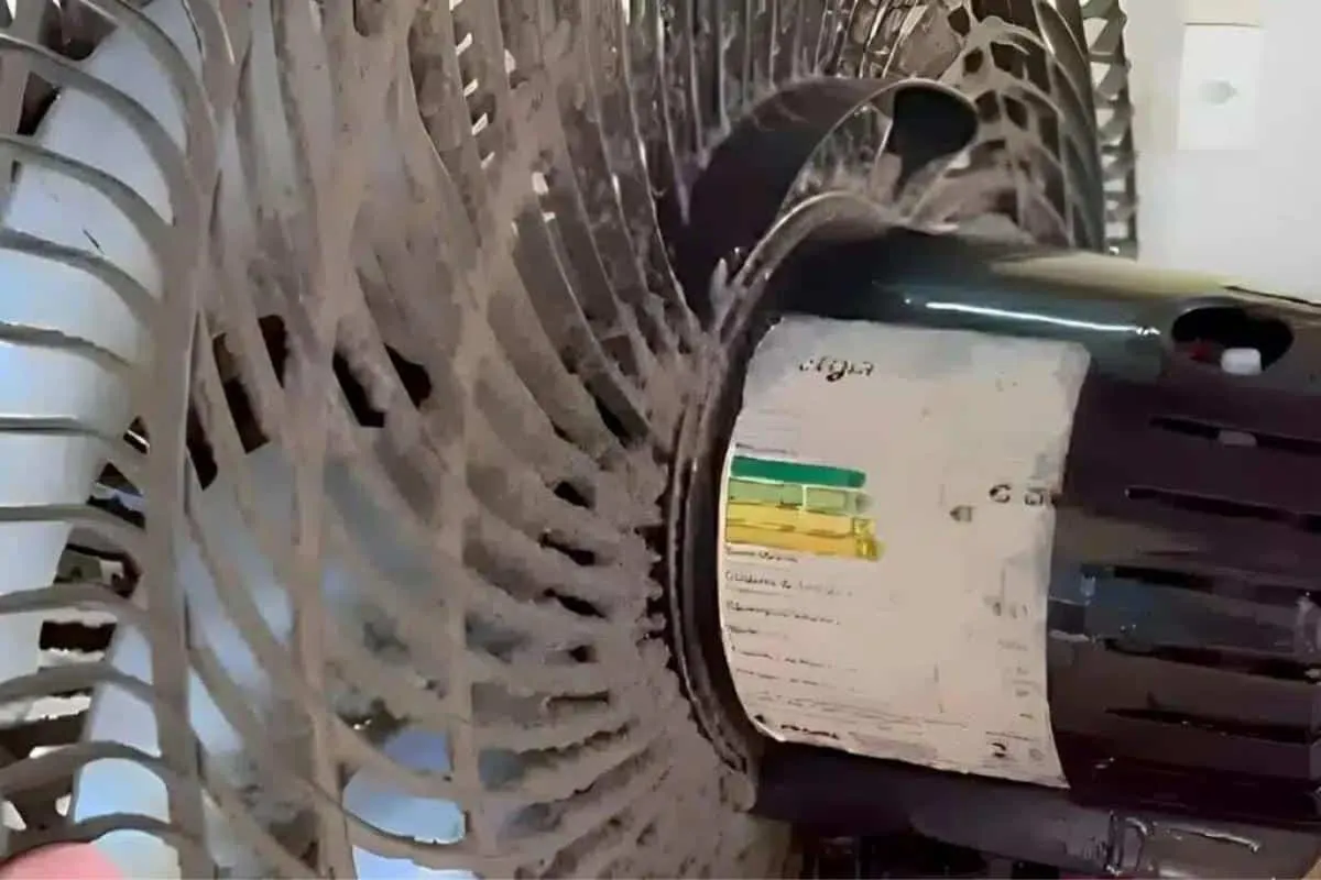 Como limpar ventilador rápido e fácil para espantar o calorã