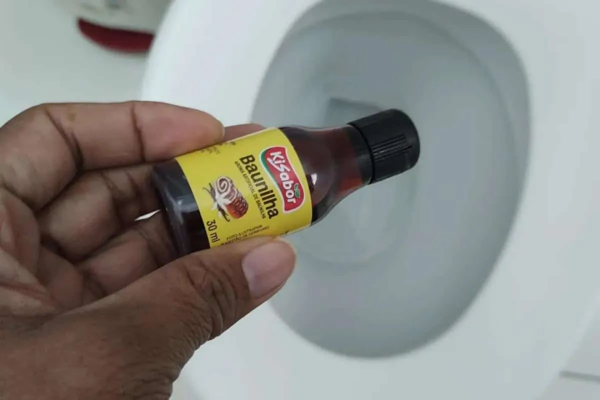 Como perfumar o banheiro: com essa dica seu banheiro fica ch