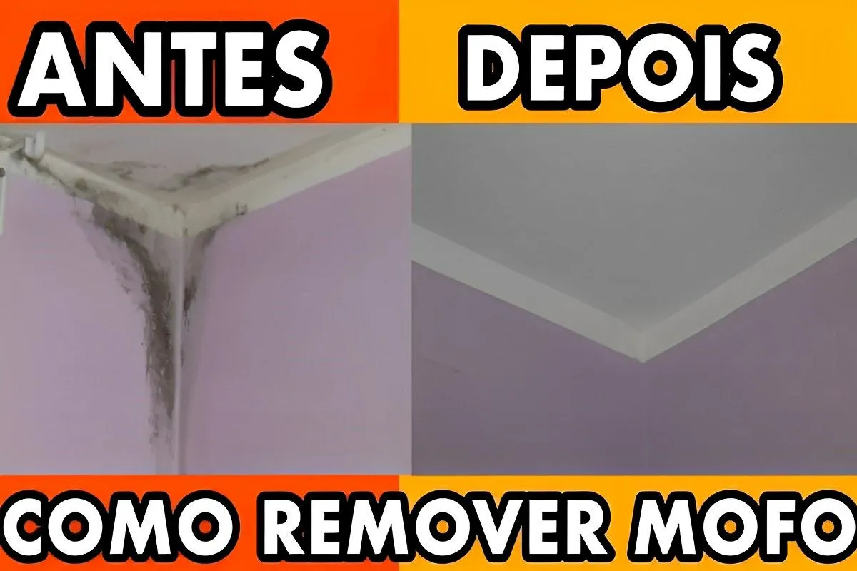 Como remover mofo da parede da sua casa com apenas 1 produto