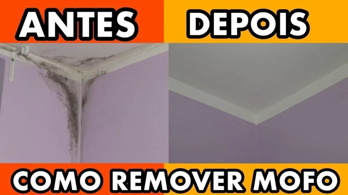 Como remover mofo da parede rapidinho e sem tirar a tinta