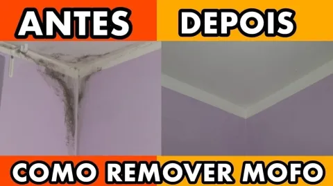 Como remover mofo da parede rapidinho e sem tirar a tinta
