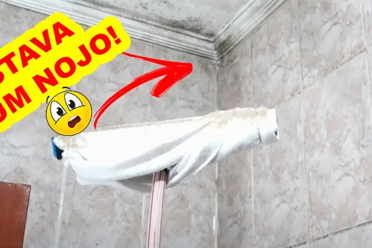 Como remover mofo das paredes: remove tudo sem muito esforço