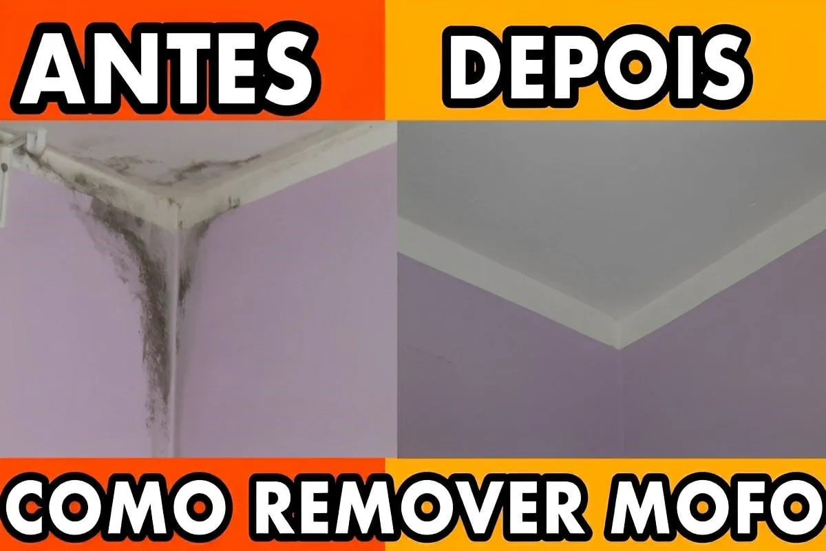 Como remover o mofo da parede e do teto usando apenas 1 ingr