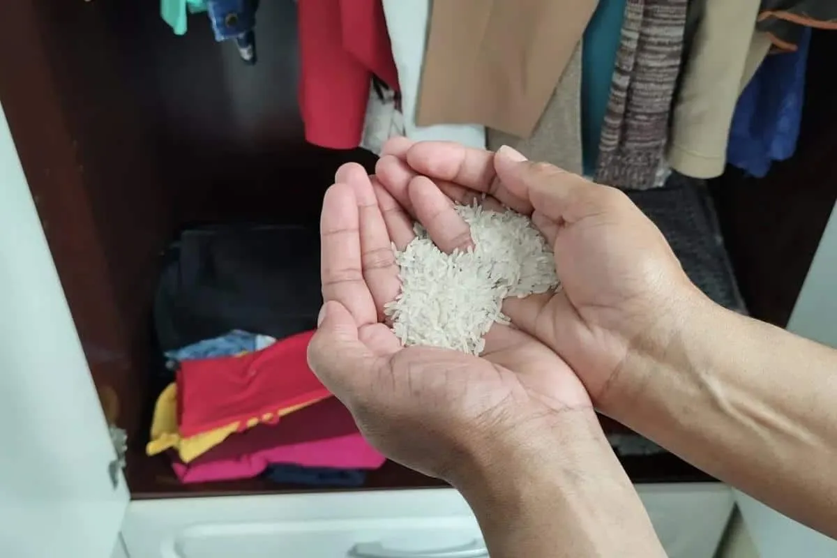 Como tirar cheiro de guarda roupa: suas roupas vão ficar sem