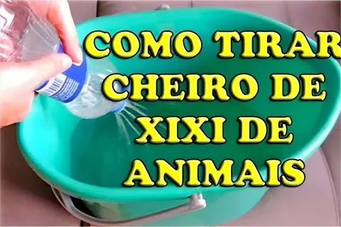 Como tirar cheiro de urina de animais da sua casa com essa m