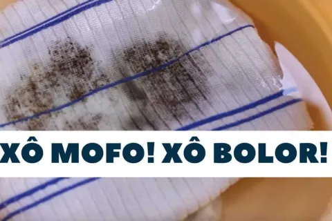 Como tirar mancha de mofo de toalhas e panos de prato: mistu