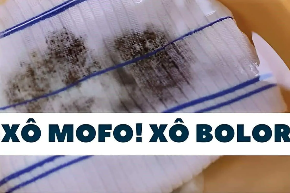 Como tirar manchas de mofo e bolor das roupas brancas e colo
