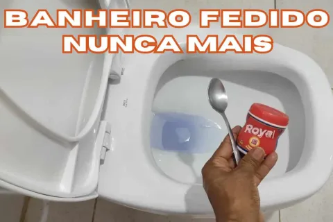 Como tirar mau cheiro do banheiro: fica cheiroso igual banhe