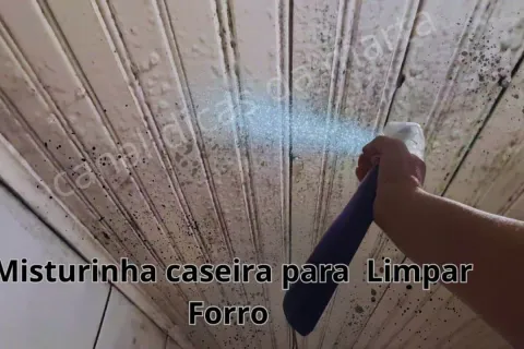 Como tirar mofo da parede: técnica econômica e sem esforço p