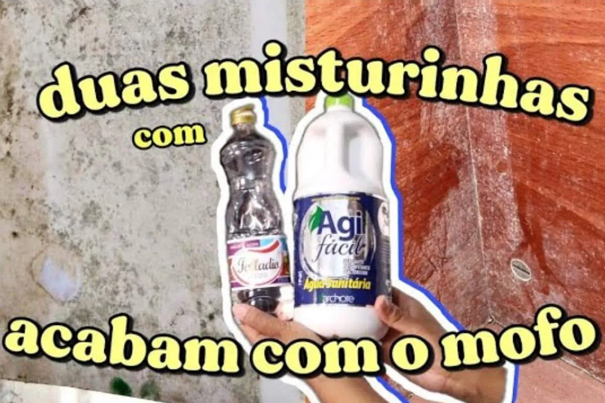 Como tirar mofo do guarda roupa e acabar com o mau cheiro in