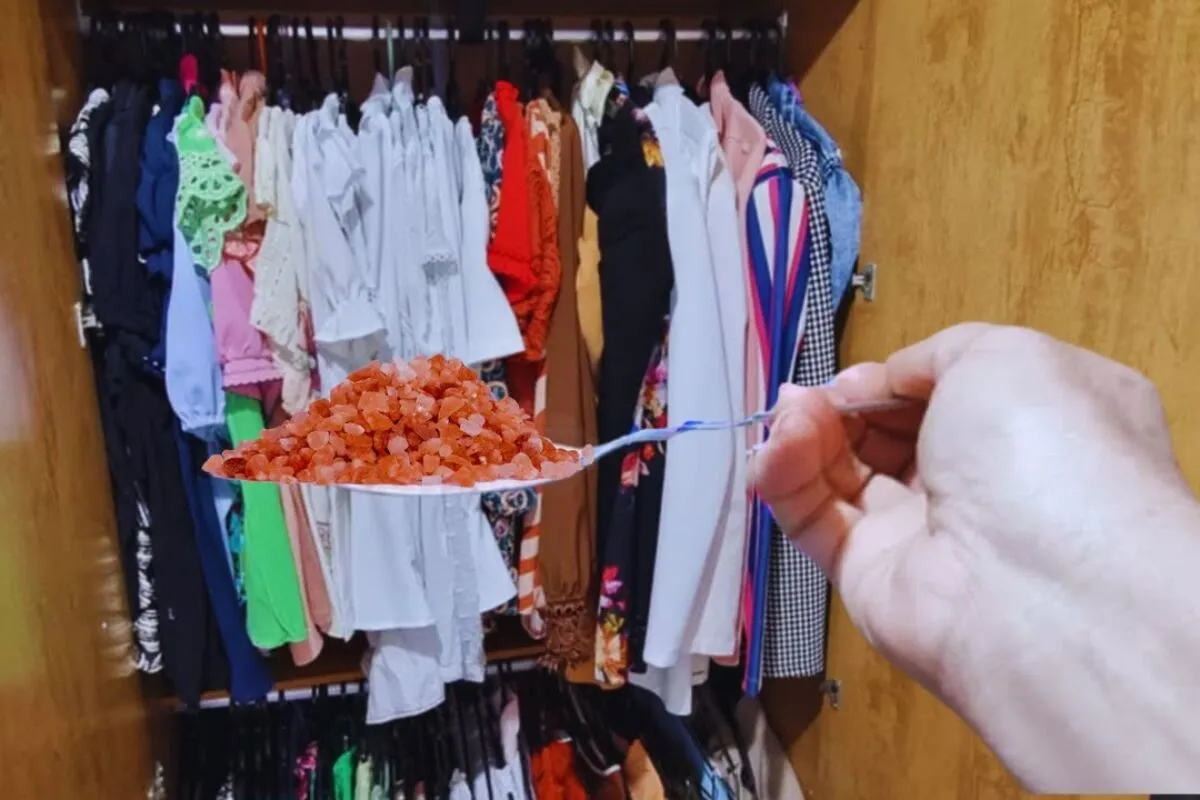 Como tirar mofo do guarda-roupas usando uma dica bem simples