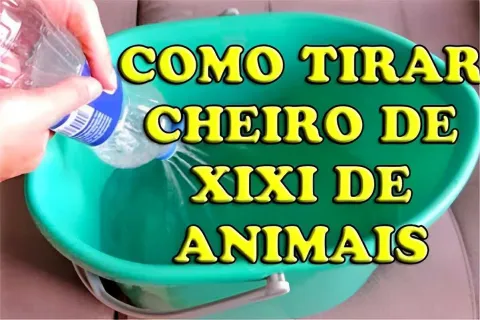 Como tirar o cheiro de urina de animais de dentro de casa us