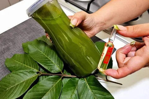 Conheça essa sensacional dica caseira para o cabelo crescer 