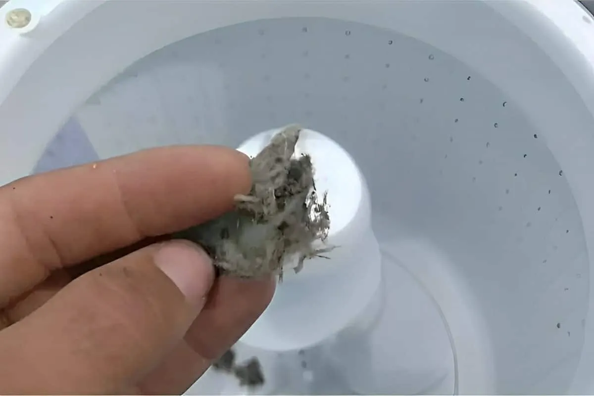 Depois desse truque para acabar com fiapos da máquina de lav