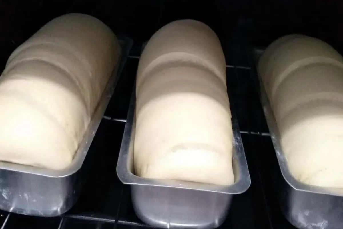 Descobri uma receita de pão caseiro de inverno que cresce ba