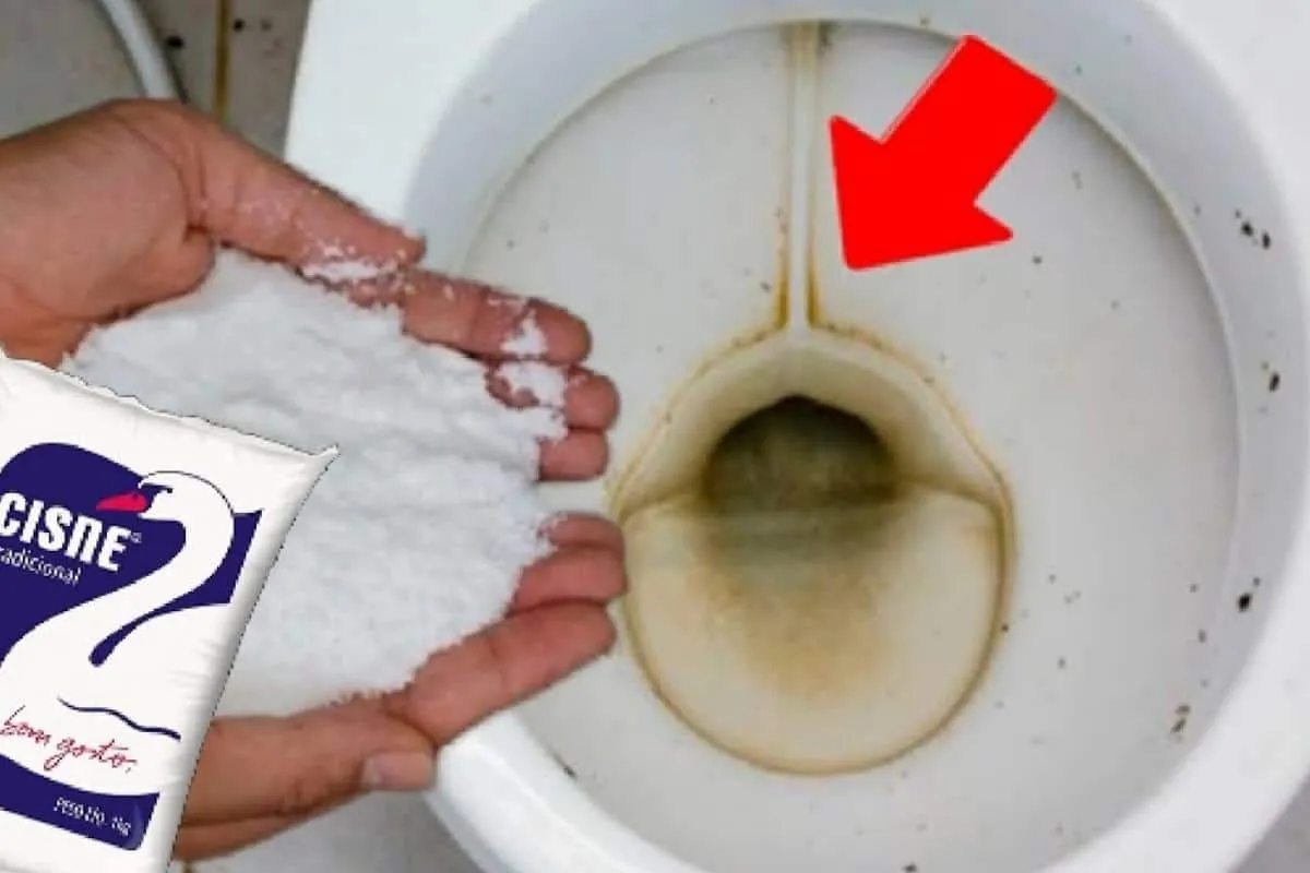 Dica para lavar banheiro e limpar vaso sanitário encardido r