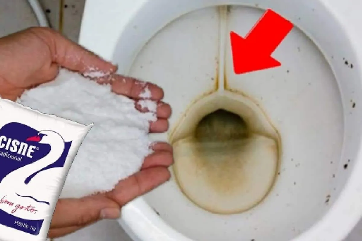 Dica para lavar banheiro manchado e encardido com um produto