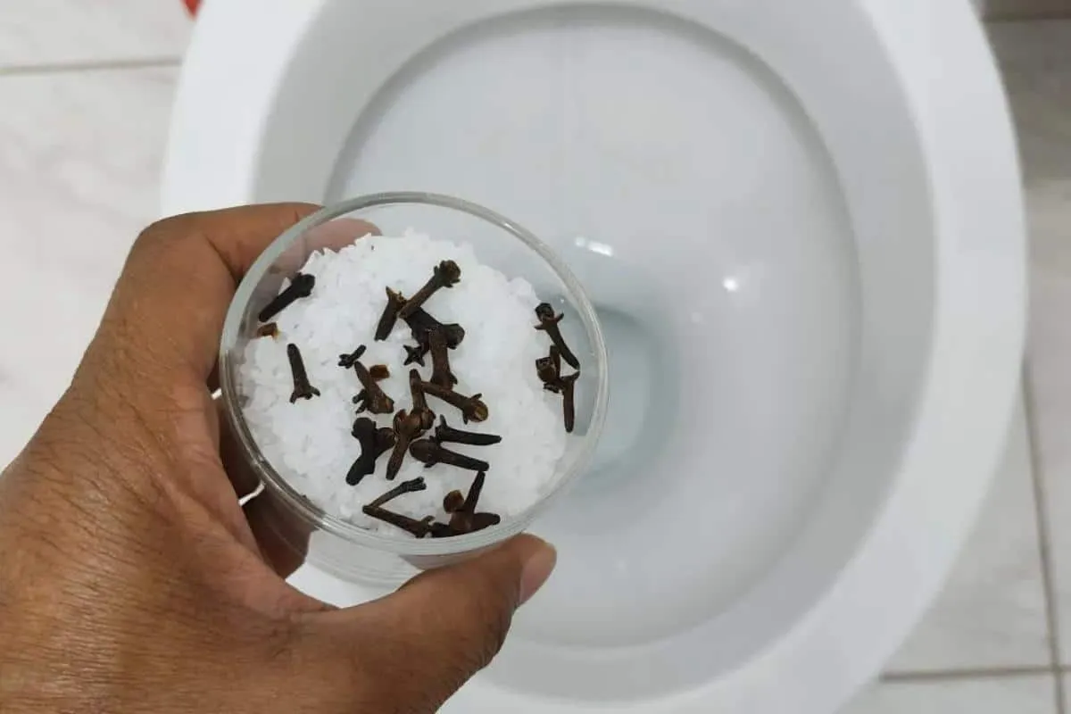 Dica para limpar e perfumar banheiro da sua casa que dura o