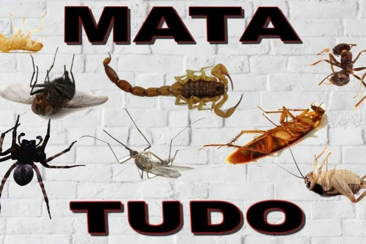 Inseticida caseiro: o melhor inseticida simples de fazer e f