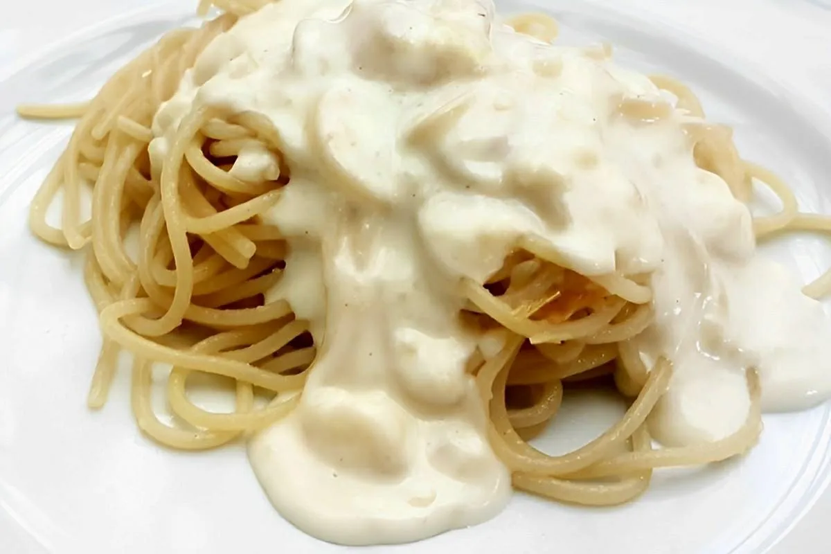 Macarrão com molho branco muito saboroso cremoso e fácil de