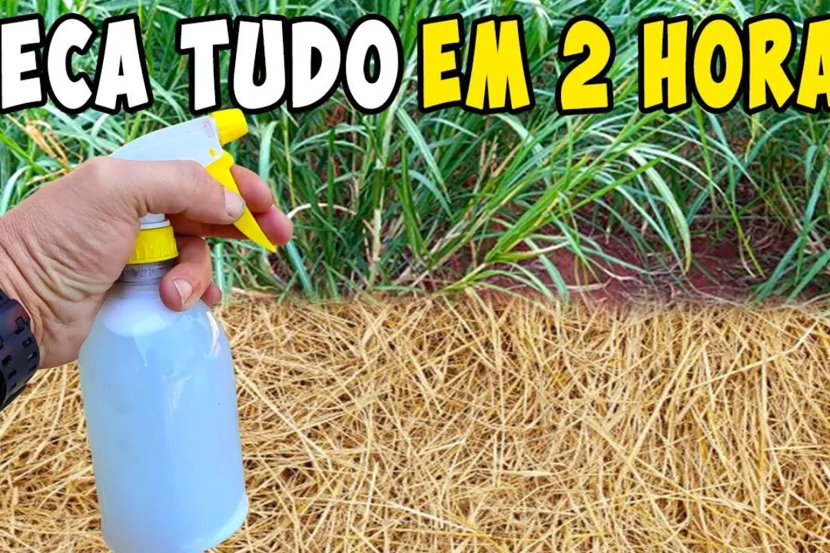 Mata mato caseiro poderoso que seca tudo em poucas horas