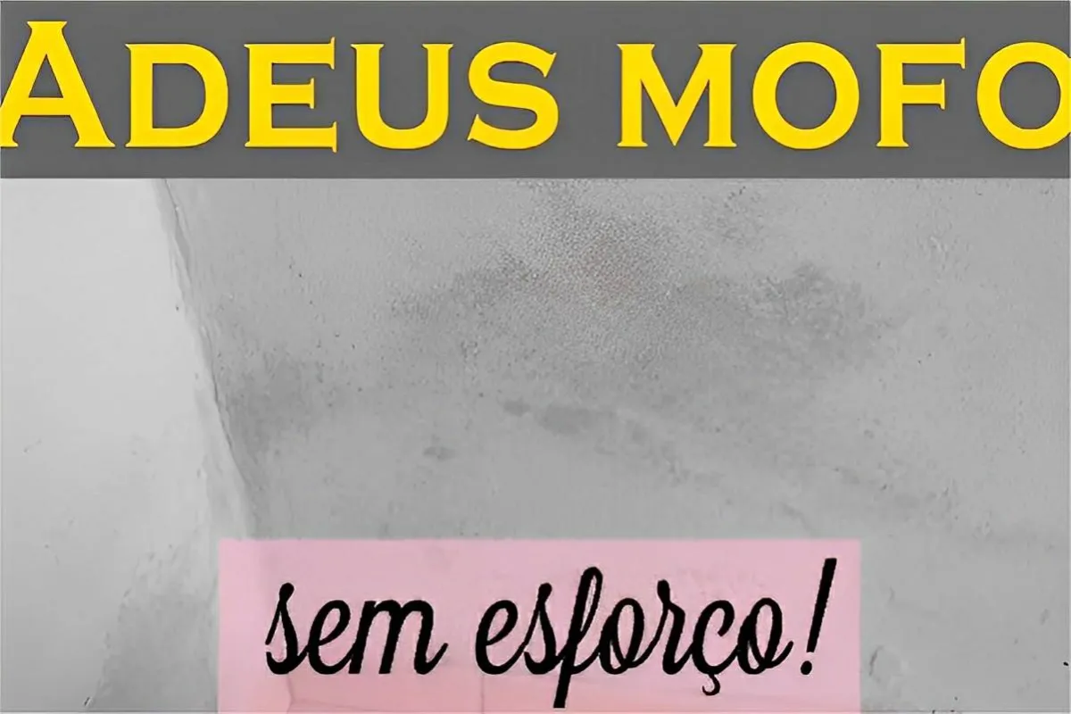 Misturinha caseira para acabar com o mofo das paredes usando